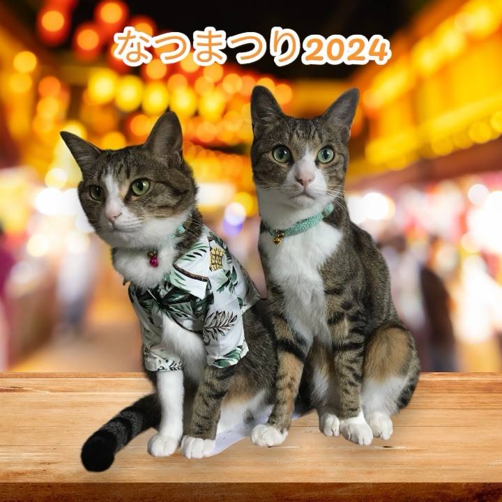 80613084 3a2a 4b4f b721 4b27c3645088 1724508904128