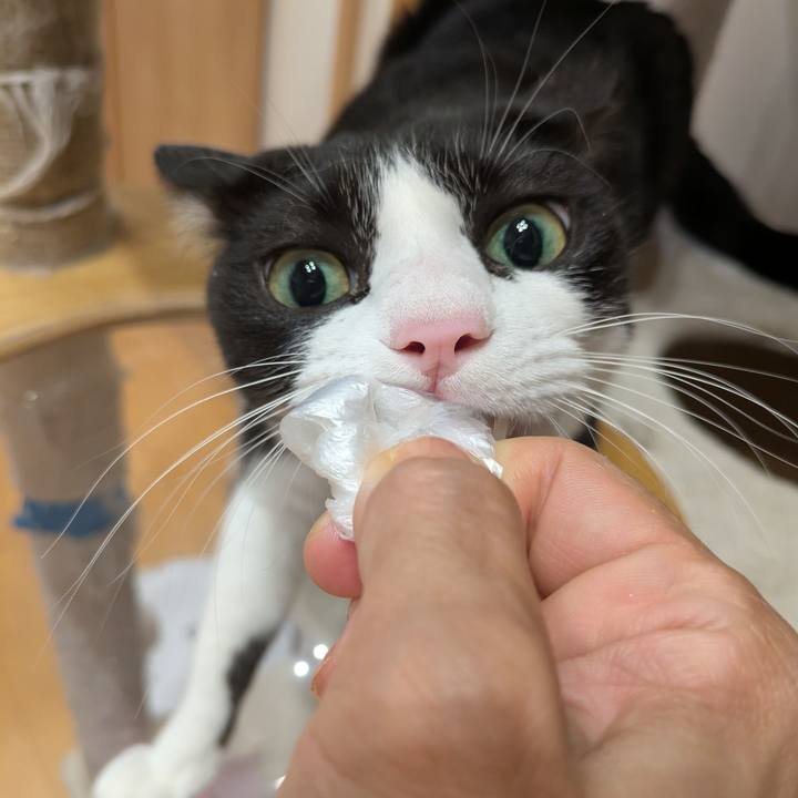 80616cb0 fdf7 42d9 a613 a30e7b44b6c0 1762515009497