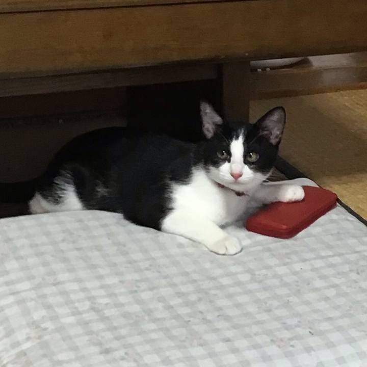 8061718f 6eb6 4ca1 a644 9766e763103a 1629593459775