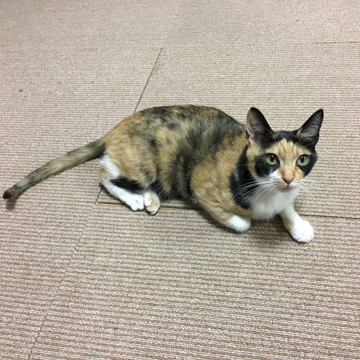 80619950 0f45 468e 8a86 c145df860884 1519479011104