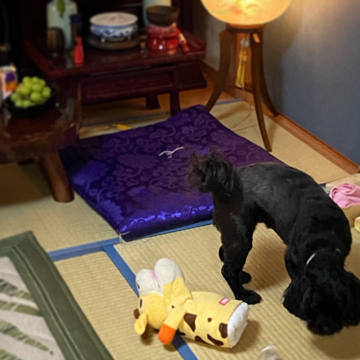 8061a6bd c7f0 4c25 b99c 706cb8dba2f4 1597485420855