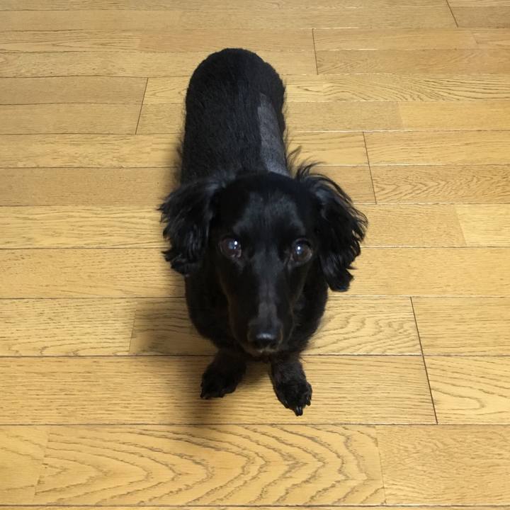 8061f42f 78af 40fa bf9e 166e5da439a8 1515626360867