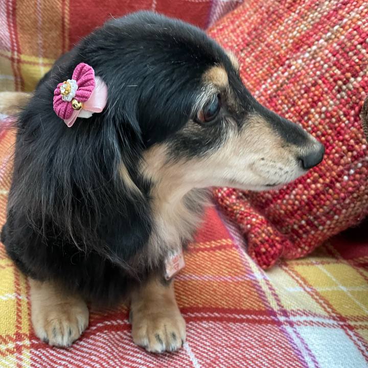 806205d2 5684 4777 abed f89c9b3f3e4e 1642395560691