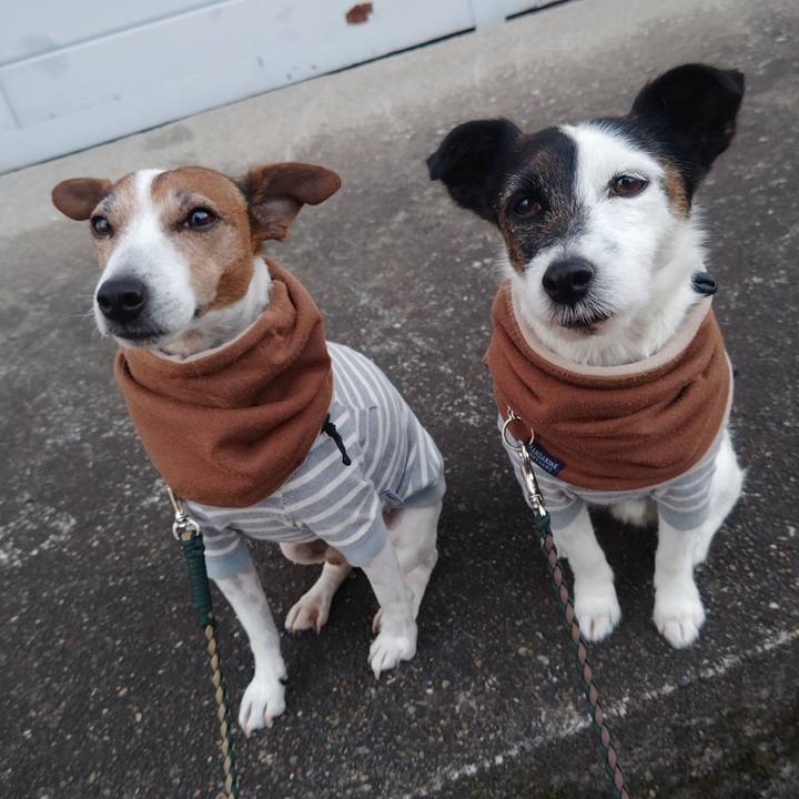 806237c3 4de0 479c 9683 7578101f540c 1765404147821