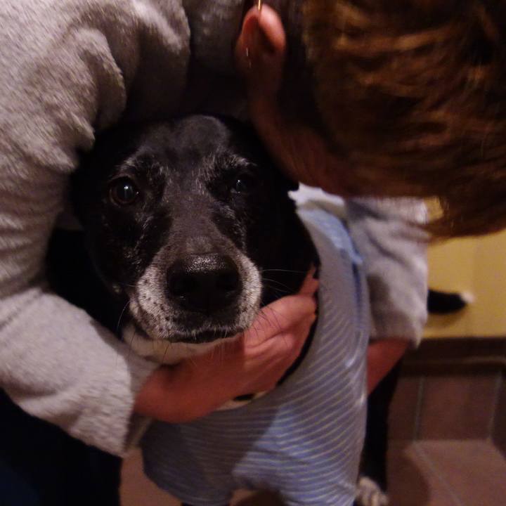 80626039 b36e 482d 954c 43261c4f1b67 1741705384401