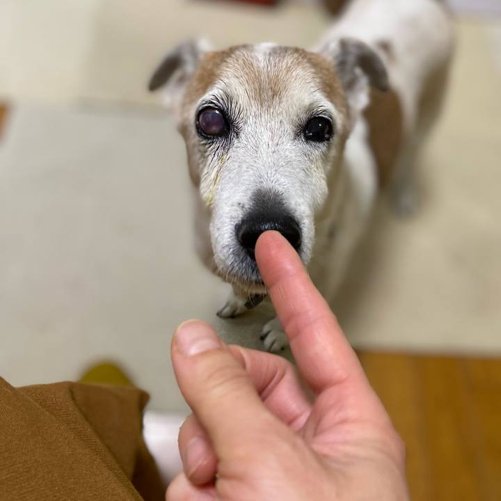 80627e41 41d6 4dbc a8dc 043f08ad550b 1671143723632