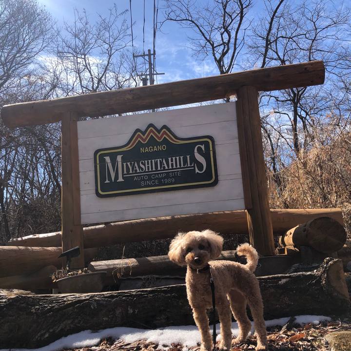 8062d929 12b5 43f9 a0d8 966ae48c3bfd 1775137143560