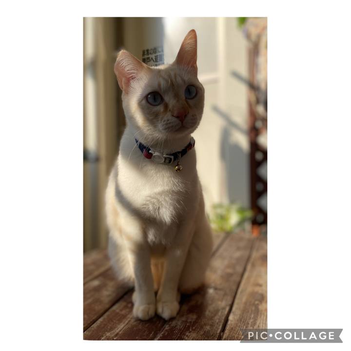 8062d94c d9dc 445f b769 afe38b9fec4f 1641173510792