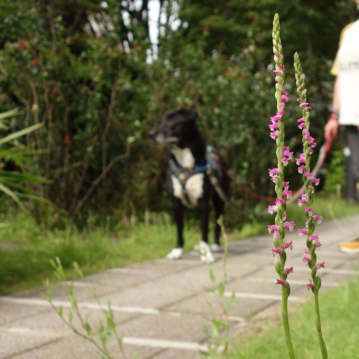 8062e74c ddfb 4c1f 9a35 f4d1c860e6c7 1717634527793