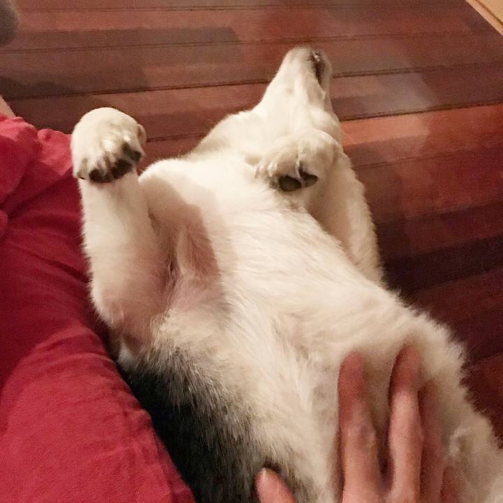 8062e8df f4a1 4a9e ae95 dda0307e2573 1557054429701