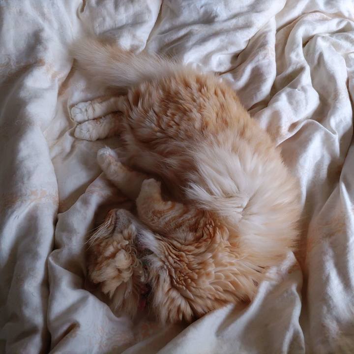 80633c45 3fe0 44cf 9405 5eeeb7643d78 1687557632328