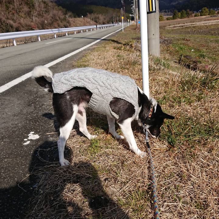 8063678c 8d0f 474d b8c8 39295edf6380 1548042126835