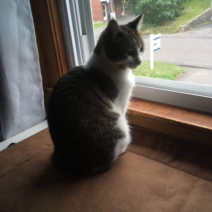 8063771f af8a 481a 8462 188d670793dd 1633792958977