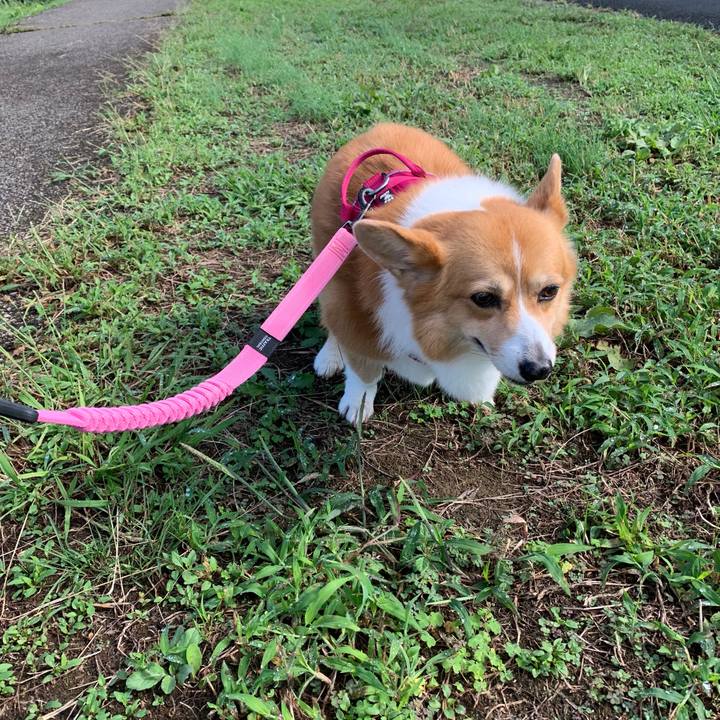 806397af cf7c 4c76 b41d ed6bd43532d7 1632010992437