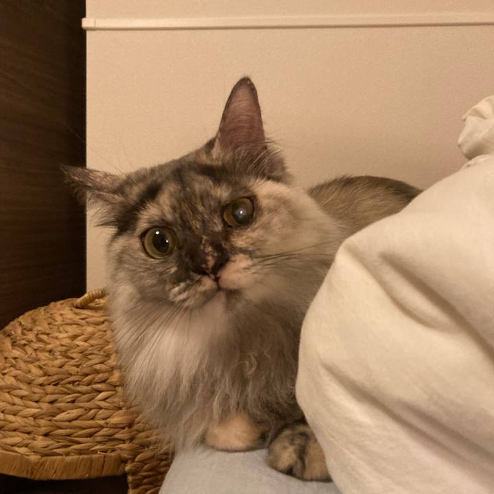 80639b2e a6f6 4fec 8c24 033bd1beb0f6 1763383910368