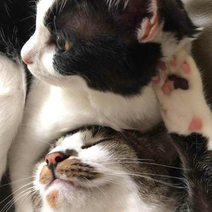 8063aa0b b907 4fbc aa38 38b7331b999a 1531453926894