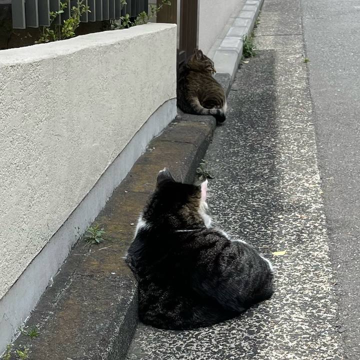 8063c34c 8155 4071 9c68 cb30757c7b03 1648725286010