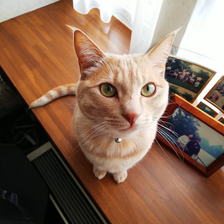 8063c792 c93c 42bb ad0a dcfbabb53e27 1582844671235