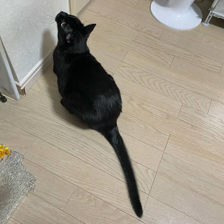 8064102b cb41 4a97 a21d cd858fea48c8 1751372933968