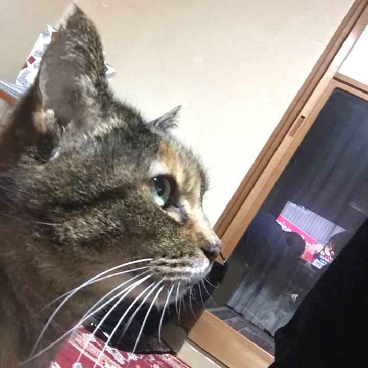 80643e34 95b3 4ee5 89c0 db23b7a60a30 1557661129016