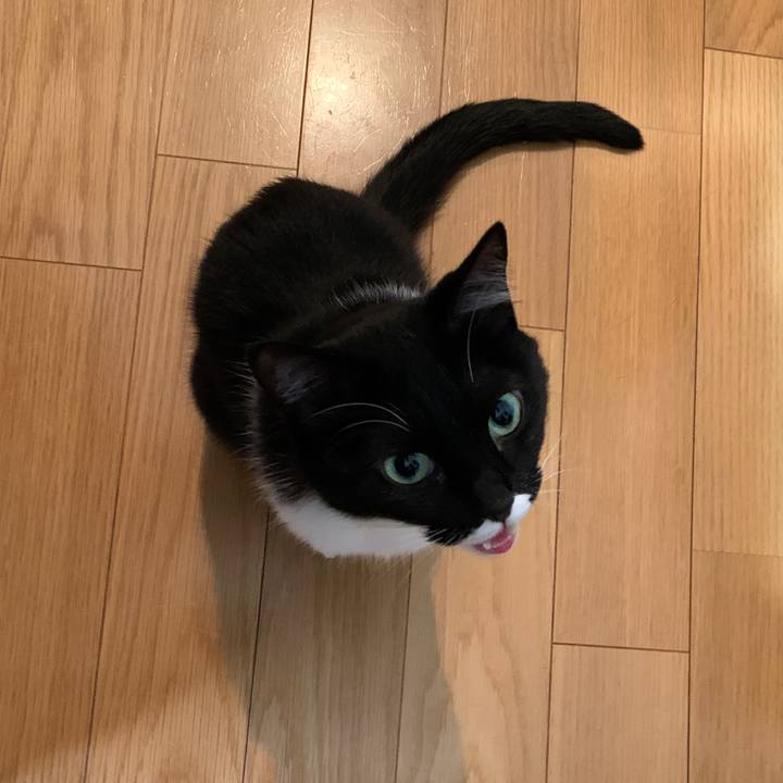 80645982 8a5a 4364 a9bc c611ebffefef 1588221919820