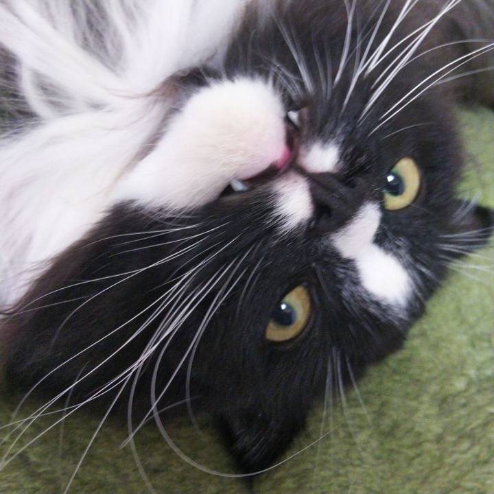 80646348 ba62 4dde 9147 ceac08813a55 1664710219942