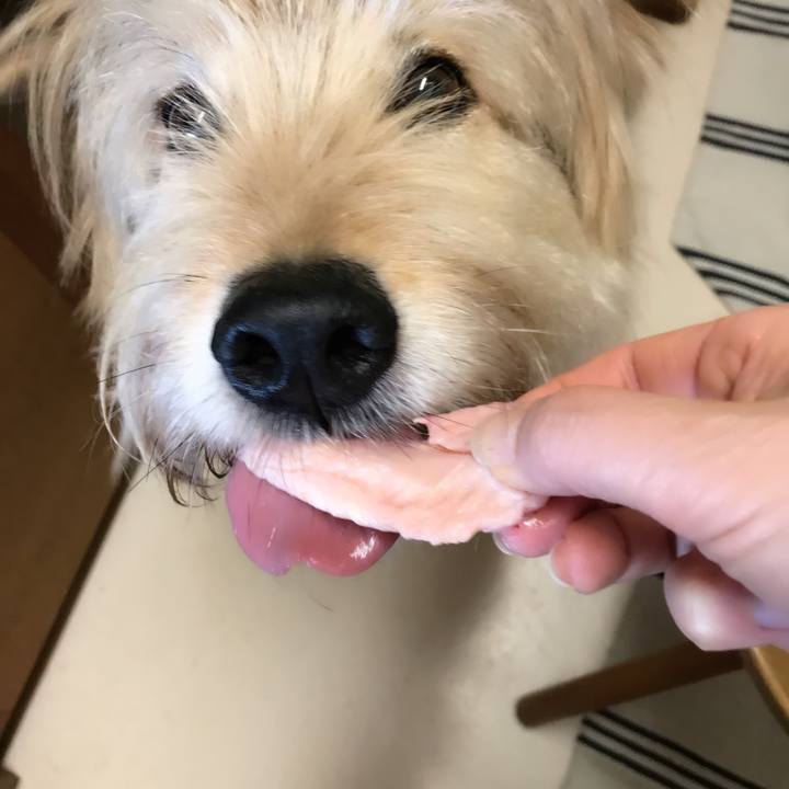 8064cfee bb77 42d5 888e 055599062fdc 1554173186328