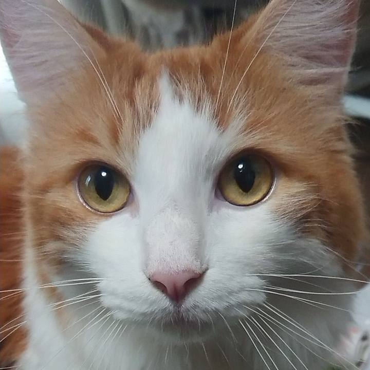 8064d717 df2e 402c 9077 a6eae4dc0a93 1567816751421