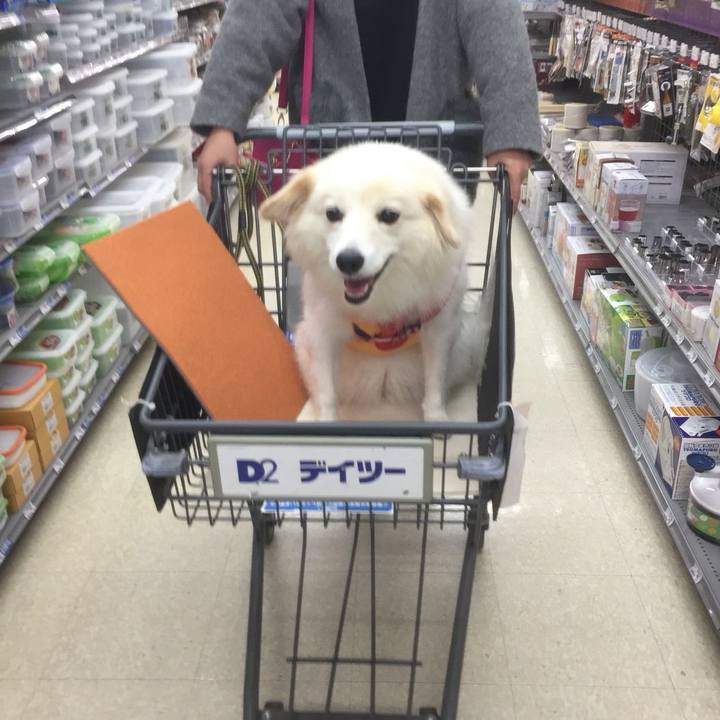 8064df3c 4926 4a4c a2f7 01a6608f19e6 1509517869840