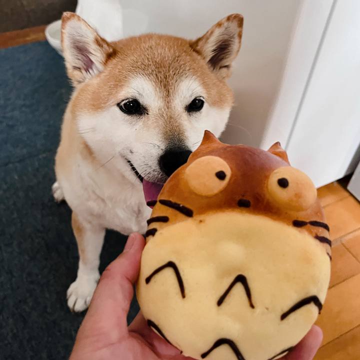 8065381d 7e8e 434d 93db de405674fded 1720687516168