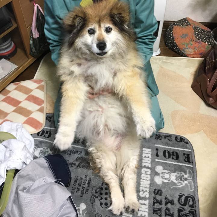 806538a8 1035 4da2 b7c0 c36002c6c118 1560647018102