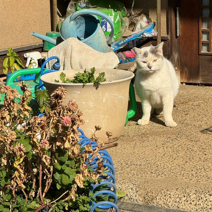 80654858 72dd 41cc b5ba 9f35582d29a6 1764212737220