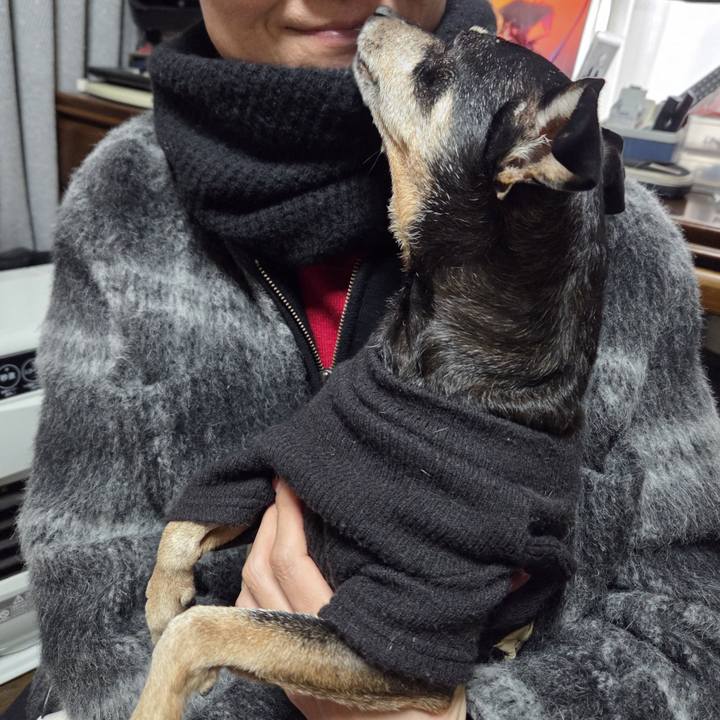 80655b0f 91ba 4008 85b5 e7ea8fb9d4a5 1768889117882