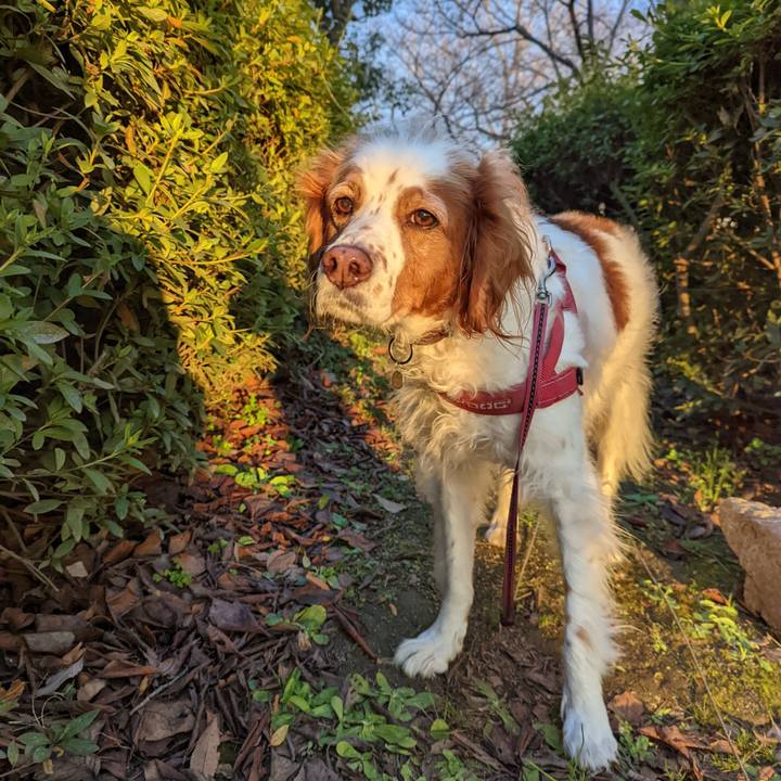 80655ff6 eda0 453c ae7a 8311a651d26a 1643197596285