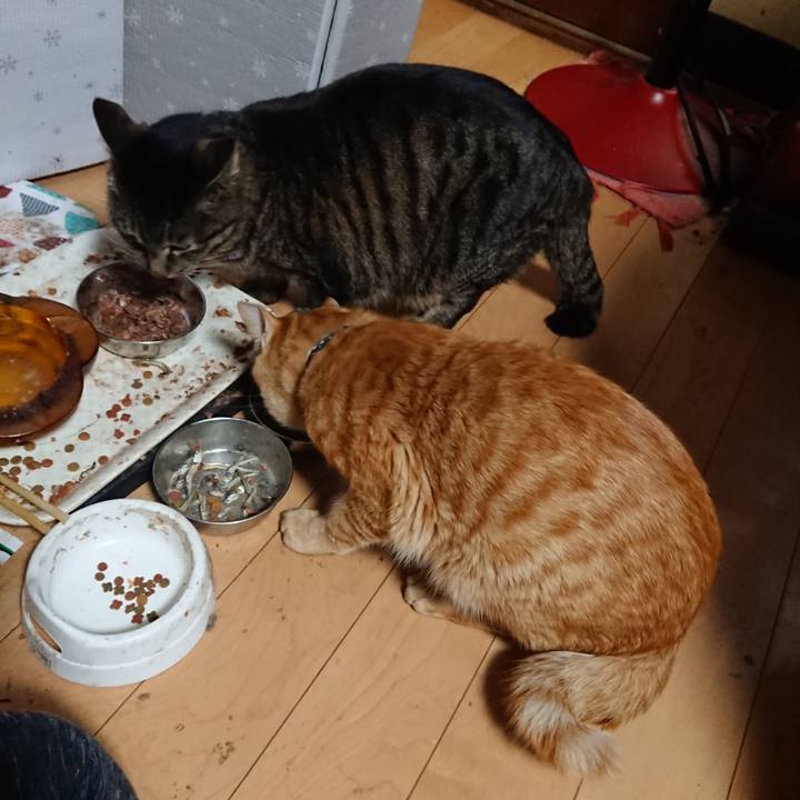 806575ad 10fc 43df adb9 8fbca0eb6a4b 1648812826840