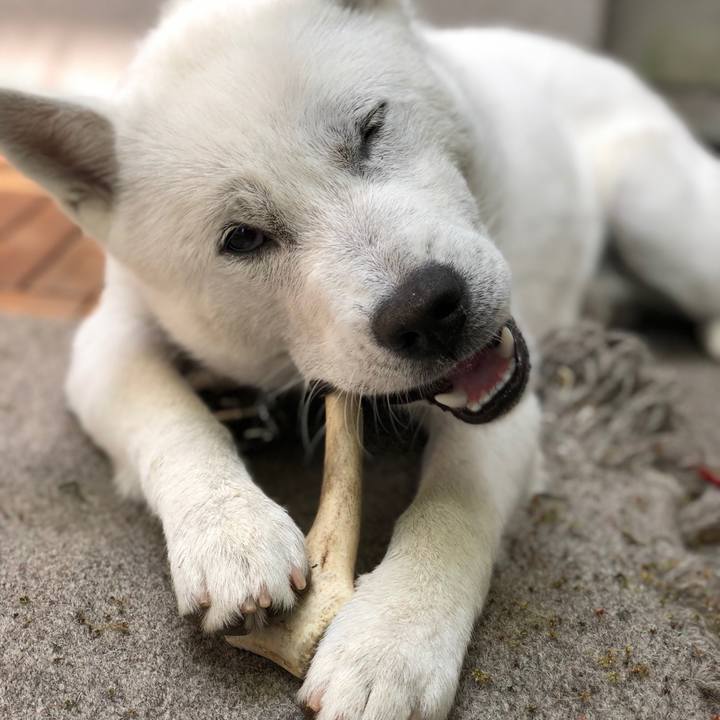 80658cb4 ca64 41a8 855c c7647edb7c5a 1523245489552