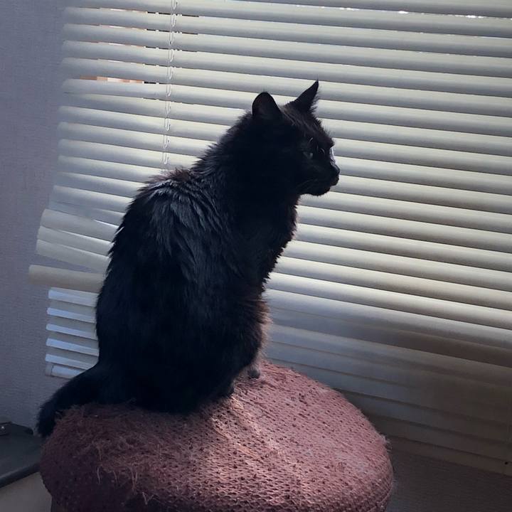 8065a450 6e69 4b7c b76d 4ce666850969 1596317842217