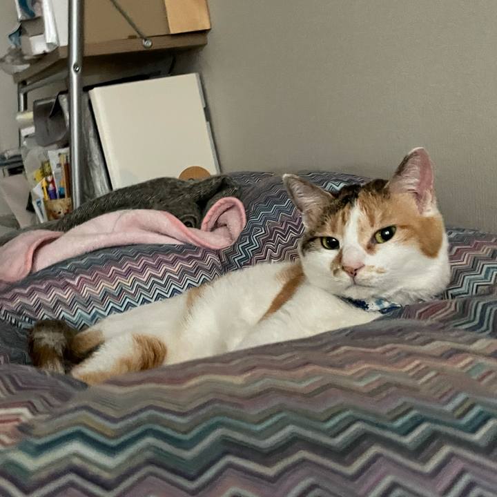 8065e5cf 977e 4664 82bb 6b6a3be822ad 1716161638880