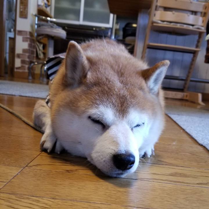 80660763 bd00 461c bb92 d04fe257e0af 1642809276076