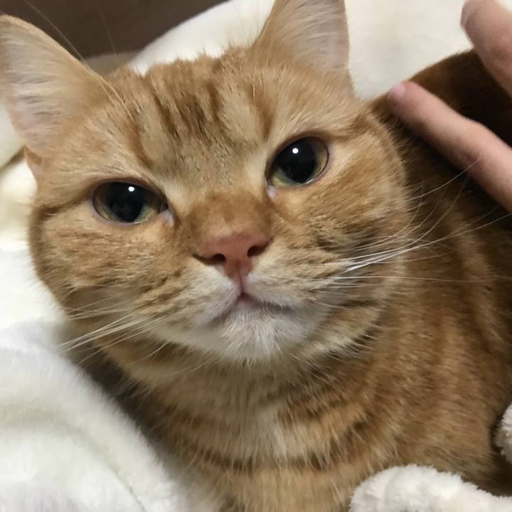 806612ff 6c98 4800 8e23 4a95636057cc 1520242942708