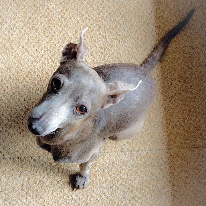 80663560 9bb6 4dc2 b435 5d34de9beb41 1762766461693