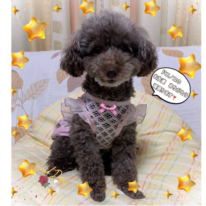 80665e01 24eb 4d2e b0cc 799f566dfe39 1592651063253