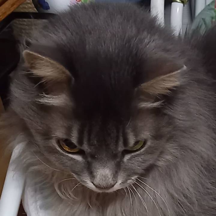 80669bd0 48ae 4a64 8c90 648803eb2f53 1676721748374