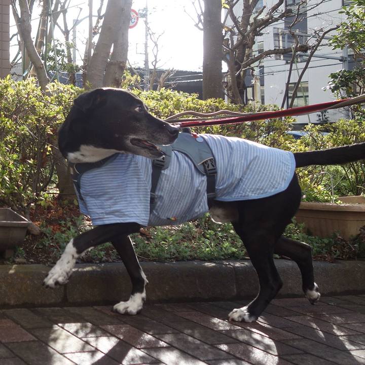 8066a78b 1b15 49e5 ba75 ac8a0e5e3801 1708909348979