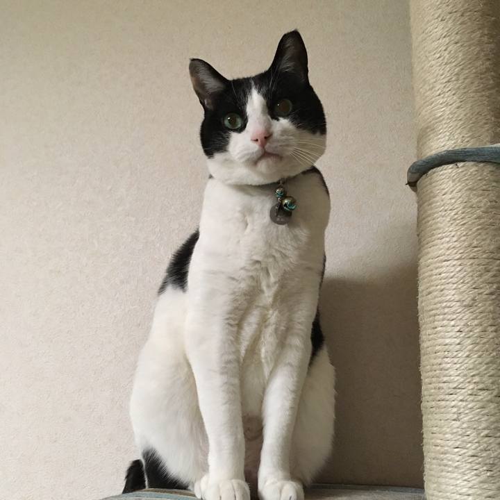 8066bd48 54f1 45e0 a17f 0351f95af2ed 1515887901485