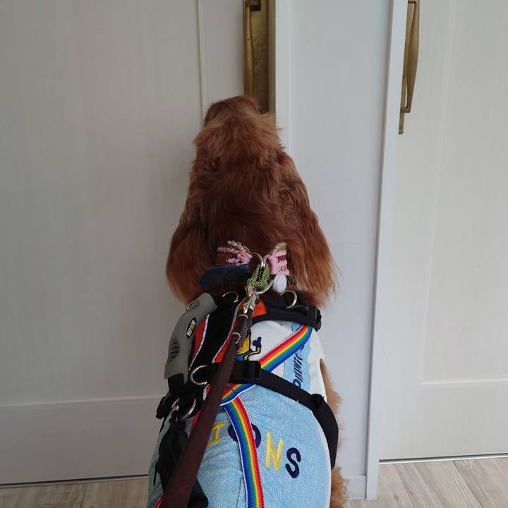 8066cdea 6fdd 41cd 860d 306a14de08bb 1719228781948