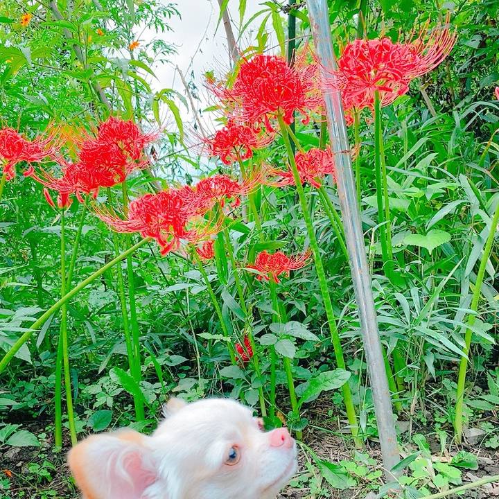 8066d0b2 debf 41c0 a62f 79af4cc7fdbd 1631694422968