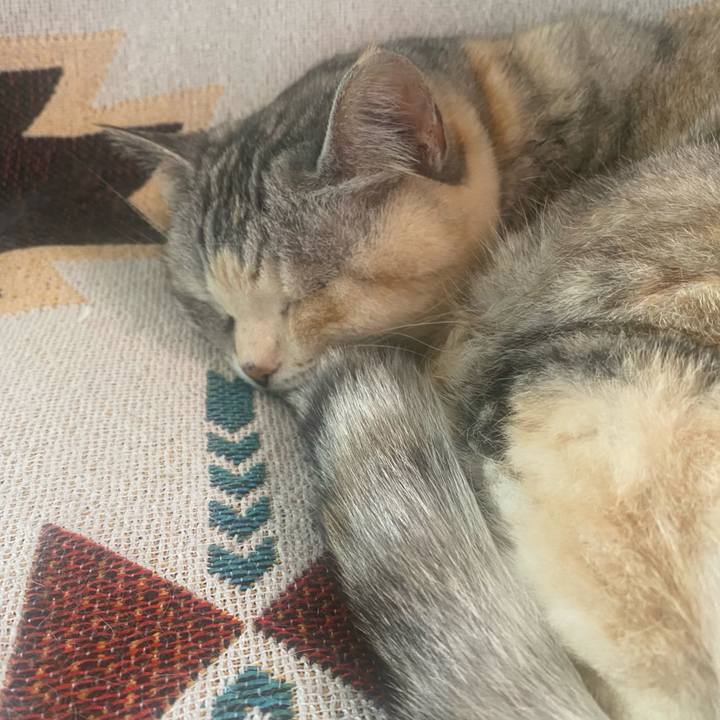 8066d888 fb32 4388 ab74 87af44648fc5 1748751123828