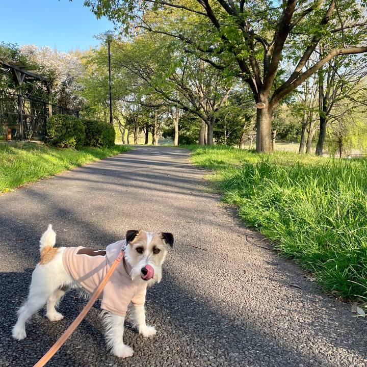 8066f667 b53c 44fb a895 8fd7b575e5eb 1680512413177