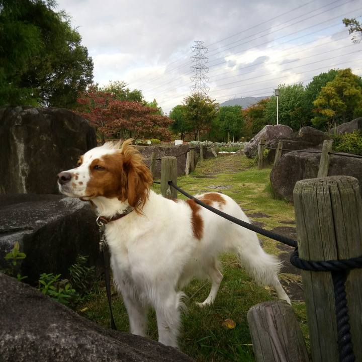 80670bb8 eda8 42cb ba35 2bf93befb3e4 1509361722304